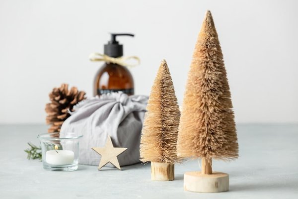 Comment adopter une conduite écologique pour préserver l'environnement et économiser simultanément ?